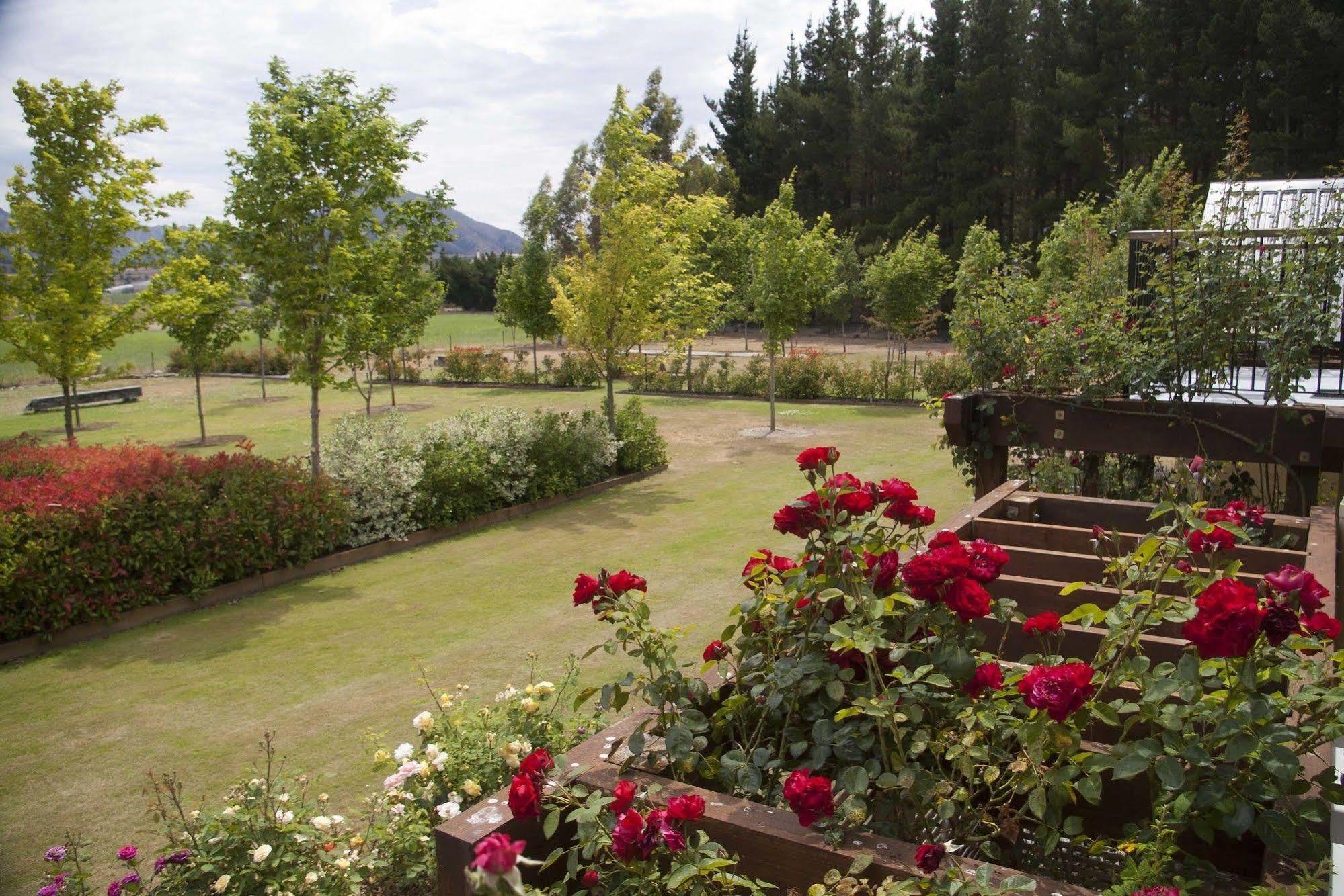 Maple Lodge Luxury Bed & Breakfast Albert Town Eksteriør billede